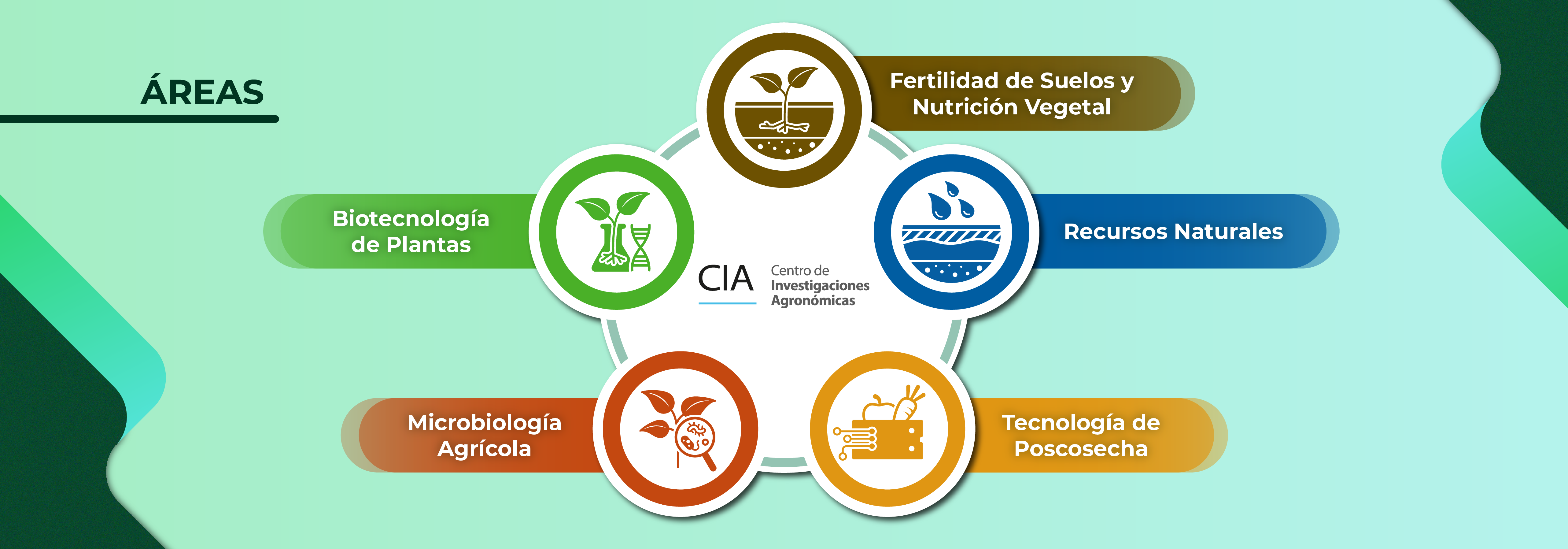 cia2
